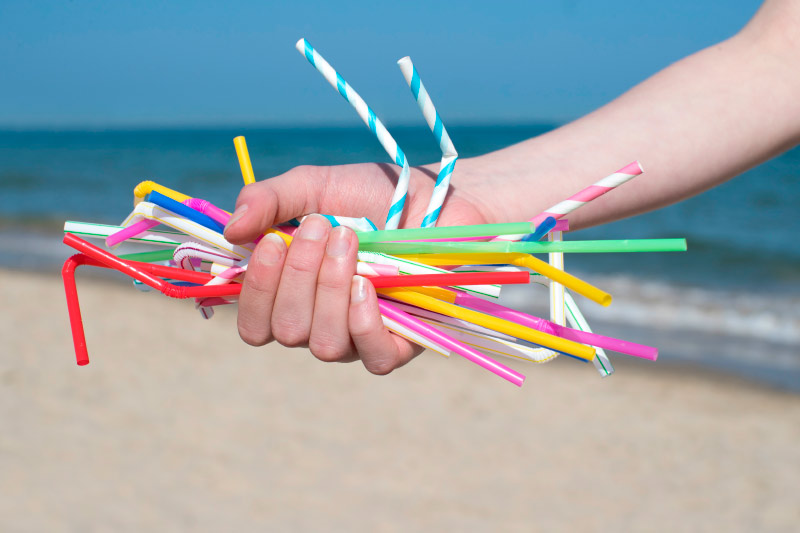 sinpajitaporfavor sinpajitaporfavor