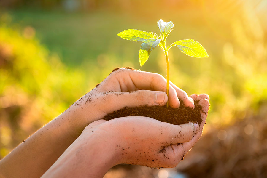 dia_mundial_eficiencia_energetica_evolucion_industrial_planta